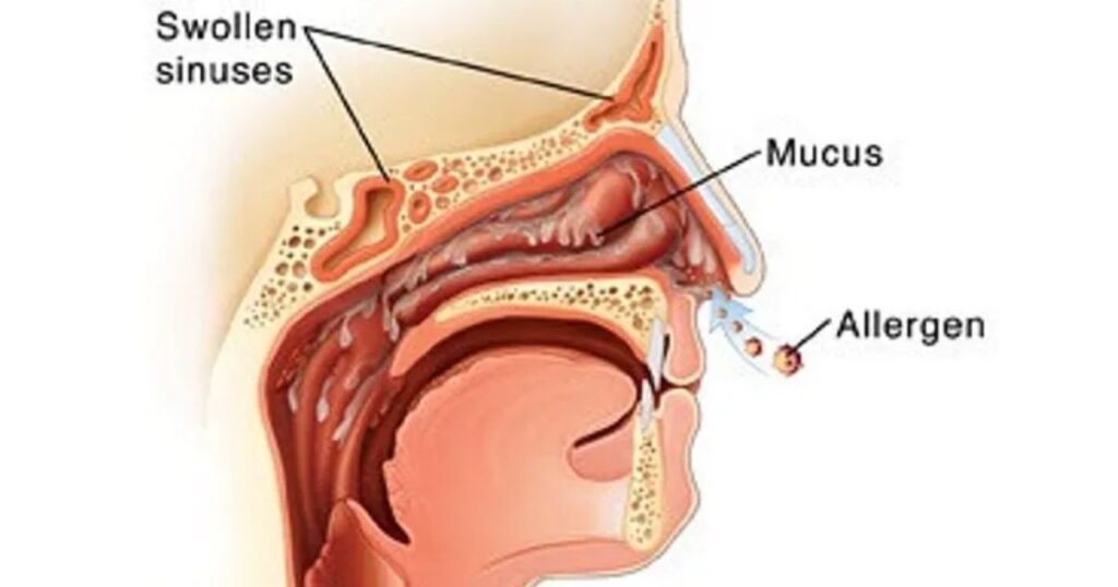 Medical and Scientific 