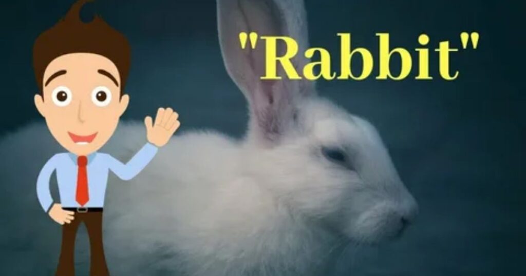 Spiritual Meaning of Rabbit